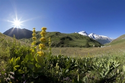 Parc National des Écrins