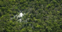 Des chercheurs au coeur de l&#039;Amazonie