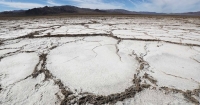 11000 scientifiques lancent un appel planétaire face au changement climatique