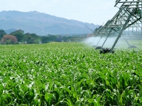 Cancers et pesticides, réponse aux réactions