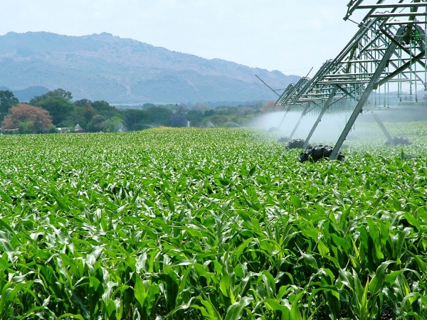 Cancers et pesticides, réponse aux réactions