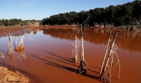 La Méditerranée, une nouvelle mer morte ?