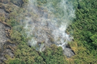 L&#039;environnement, première préoccupation des Français, selon un sondage